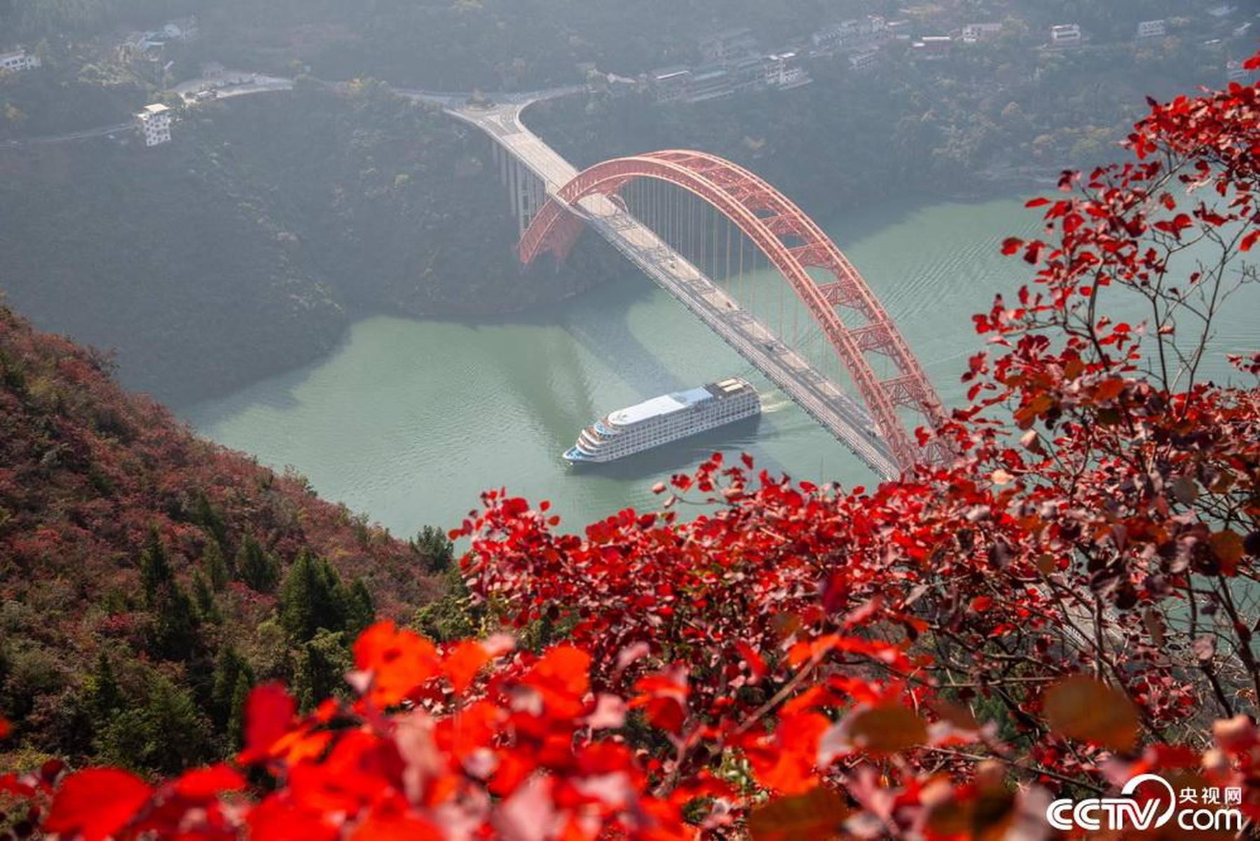 錯過等一年！重慶巫山紅葉迎來最佳觀賞期